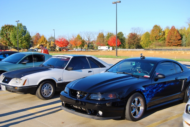 DSC_5852 (640x428).jpg