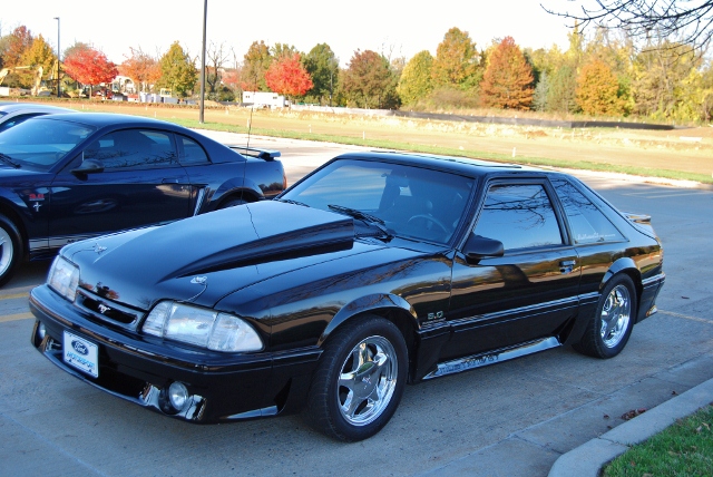 DSC_5854 (640x428).jpg