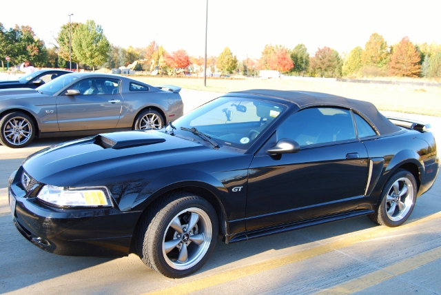 DSC_5858 (640x428).jpg