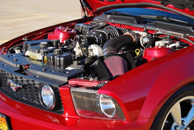 DSC_5864 (640x428).jpg