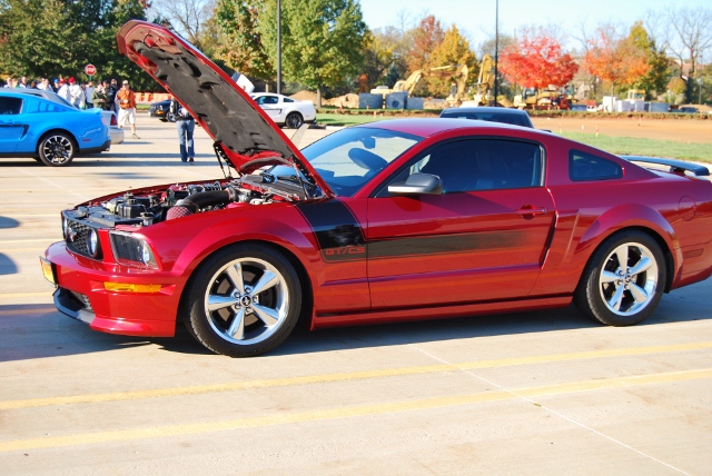 DSC_5863 (640x428).jpg