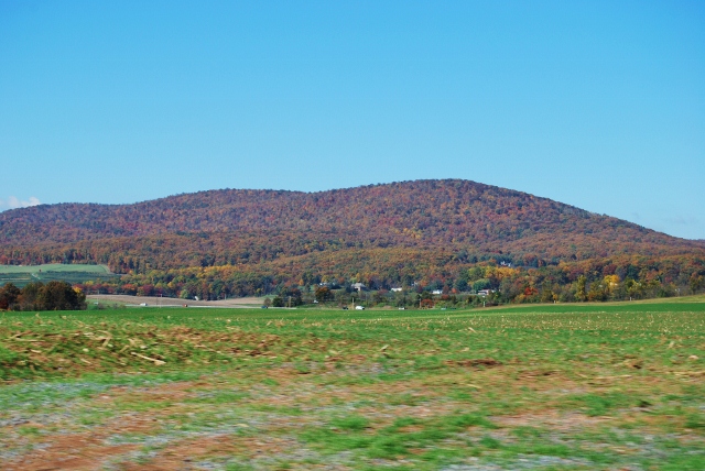 DSC_5927 (640x428).jpg