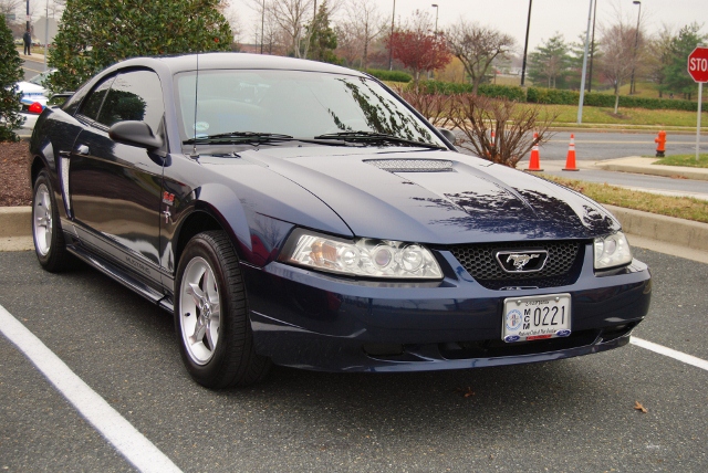 DSC_6305 (640x428).jpg