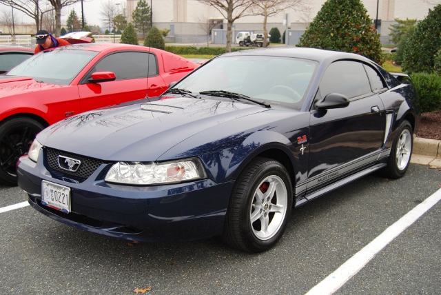 DSC_6303 (640x428).jpg