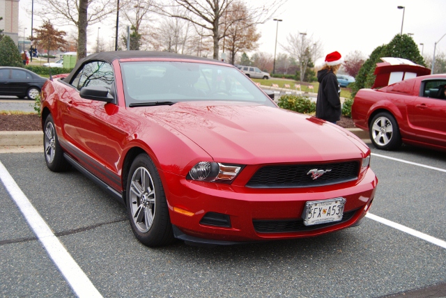 DSC_6313 (640x428).jpg