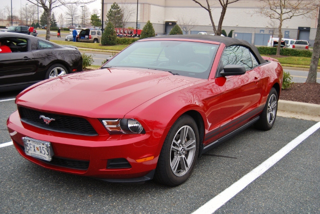 DSC_6312 (640x428).jpg