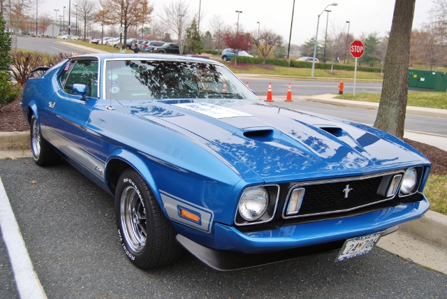DSC_6320 (640x428).jpg