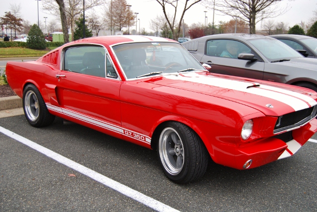 DSC_6329 (640x428).jpg