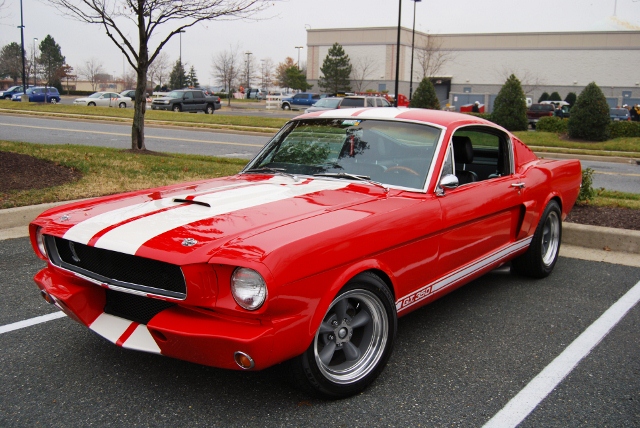 DSC_6328 (640x428).jpg