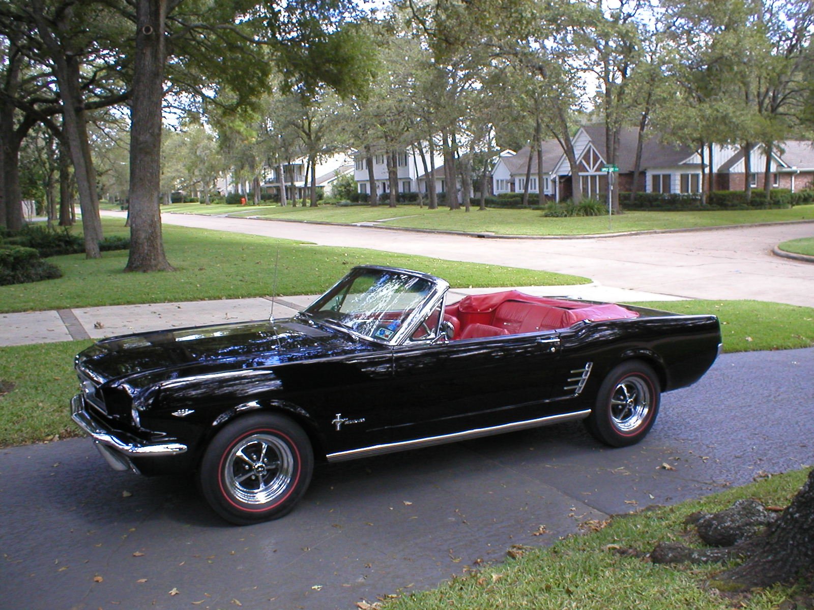 GP Mustang.jpg