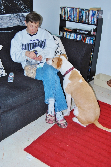DSC_6815 (428x640).jpg