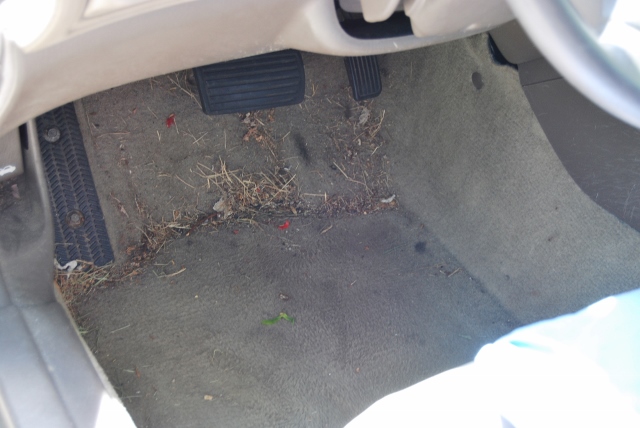 DSC_7561 (640x428).jpg