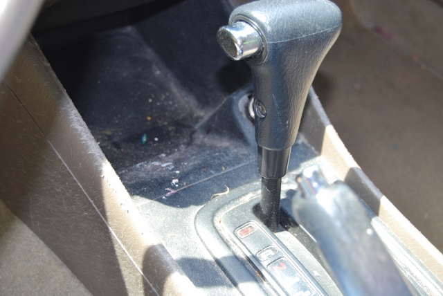 DSC_7564 (640x428).jpg