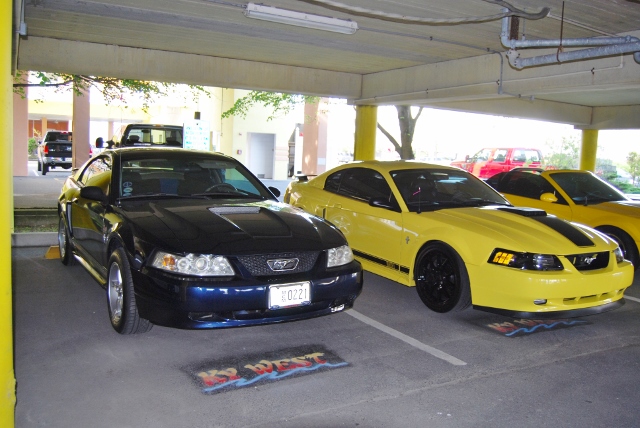 DSC_7863 (640x428).jpg