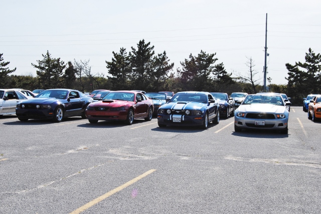 DSC_7851 (640x428).jpg