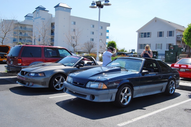 DSC_7784 (640x428).jpg