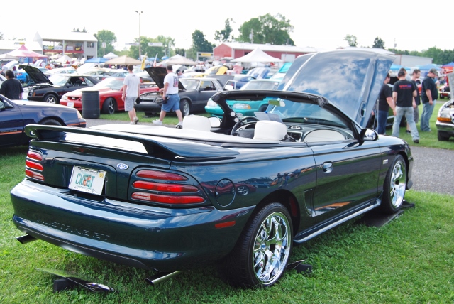 DSC_8698 (640x428).jpg