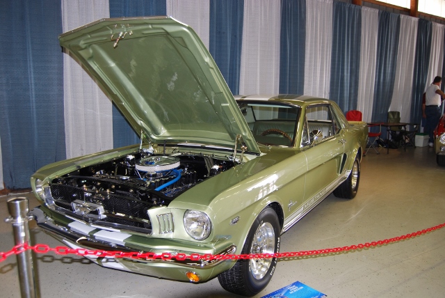 DSC_8668 (640x428).jpg