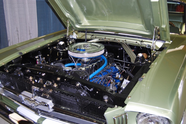 DSC_8665 (640x428).jpg