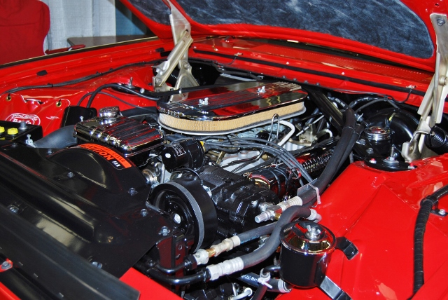 DSC_8664 (640x428).jpg