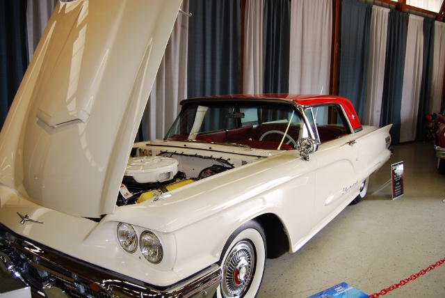 DSC_8658 (640x428).jpg