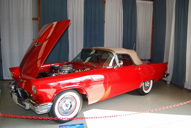 DSC_8655 (640x428).jpg