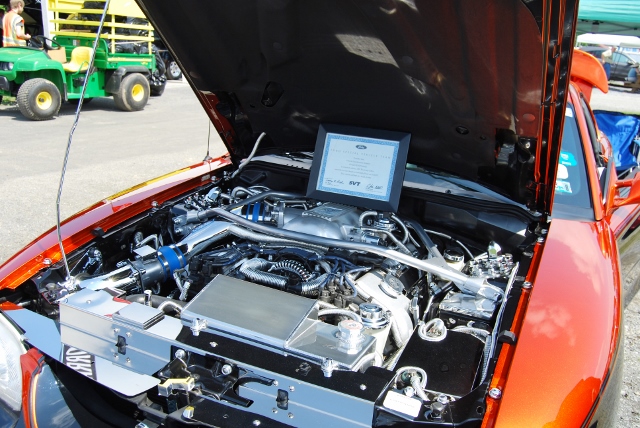 DSC_8643 (640x428).jpg