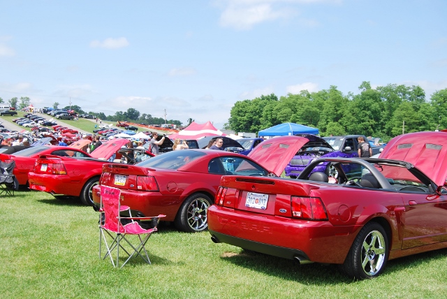 DSC_8625 (640x428).jpg