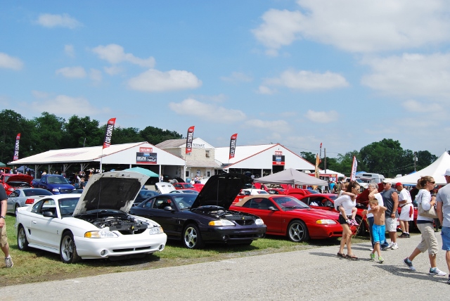 DSC_8623 (640x428).jpg