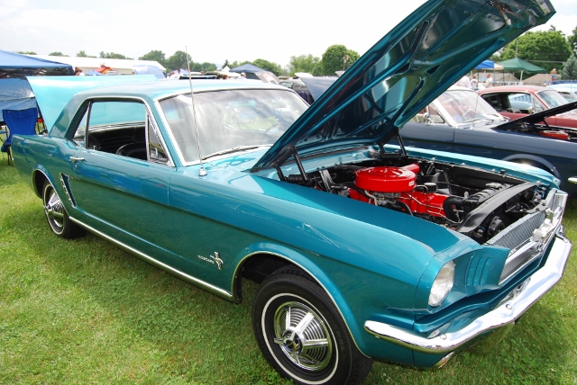 DSC_8571 (640x428).jpg