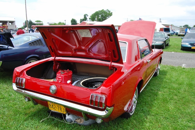 DSC_8560 (640x428).jpg