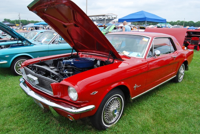 DSC_8556 (640x428).jpg