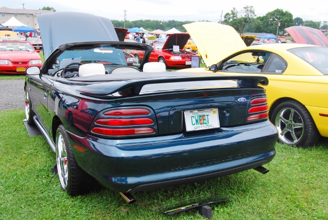 DSC_8554 (640x428).jpg