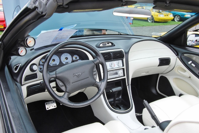 DSC_8552 (640x428).jpg