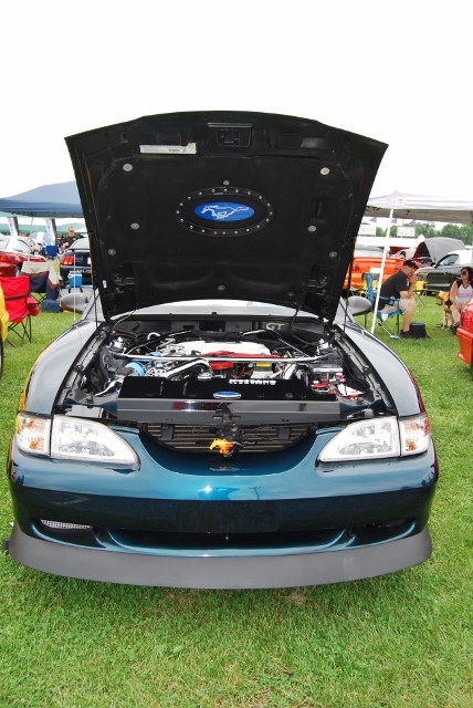 DSC_8545 (428x640).jpg