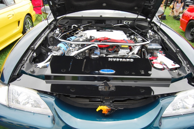 DSC_8544 (640x428).jpg