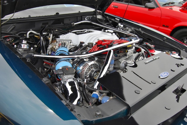 DSC_8543 (640x428).jpg