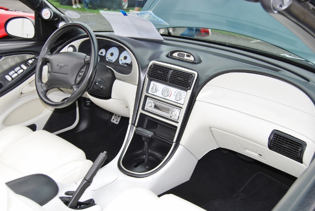 DSC_8541 (640x428).jpg