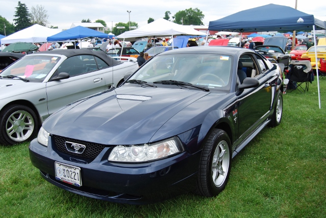 DSC_8533 (640x428).jpg