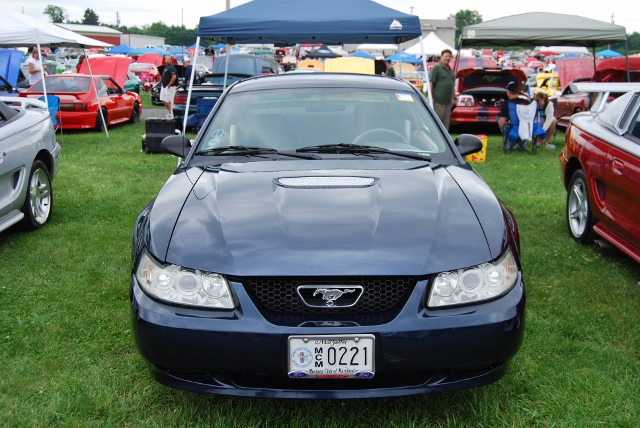 DSC_8532 (640x428).jpg