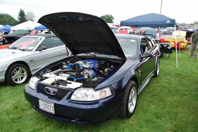 DSC_8530 (640x428).jpg