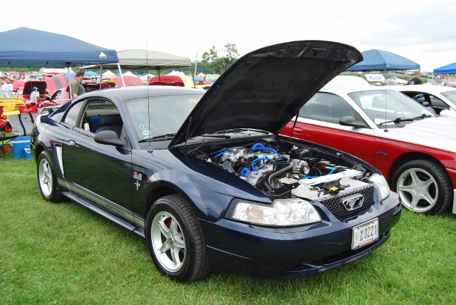 DSC_8528 (640x428).jpg