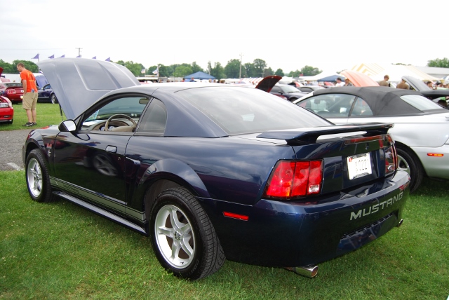 DSC_8525 (640x428).jpg