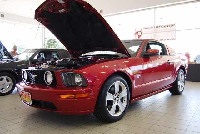 DSC_8845 (640x428).jpg