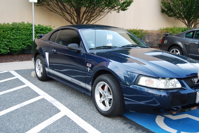 DSC_9298 (640x428).jpg