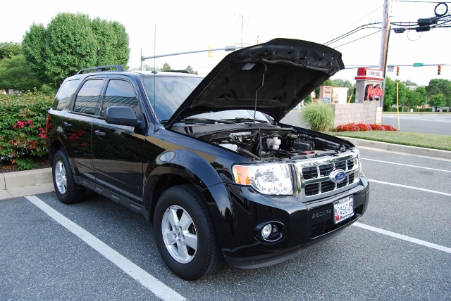 DSC_9288 (640x428).jpg