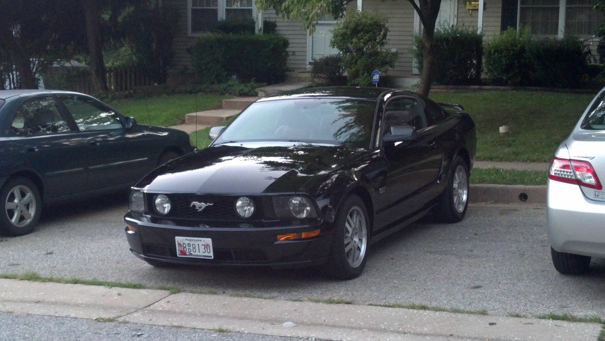 My Mustang.jpg
