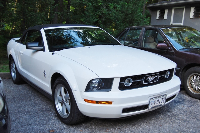 DSC_9852 (640x428).jpg