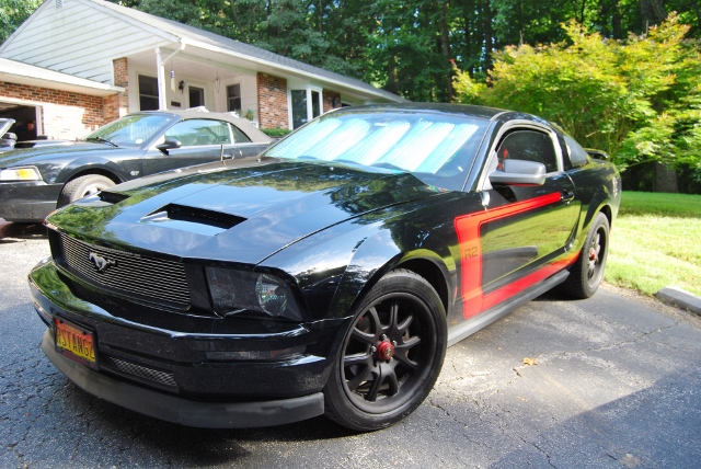 DSC_9840 (640x428).jpg