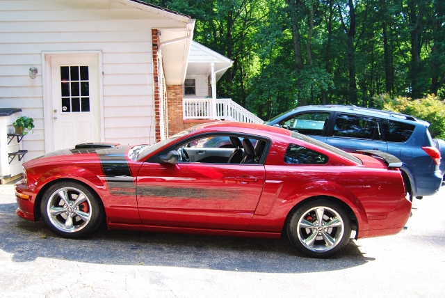 DSC_9837 (640x428).jpg